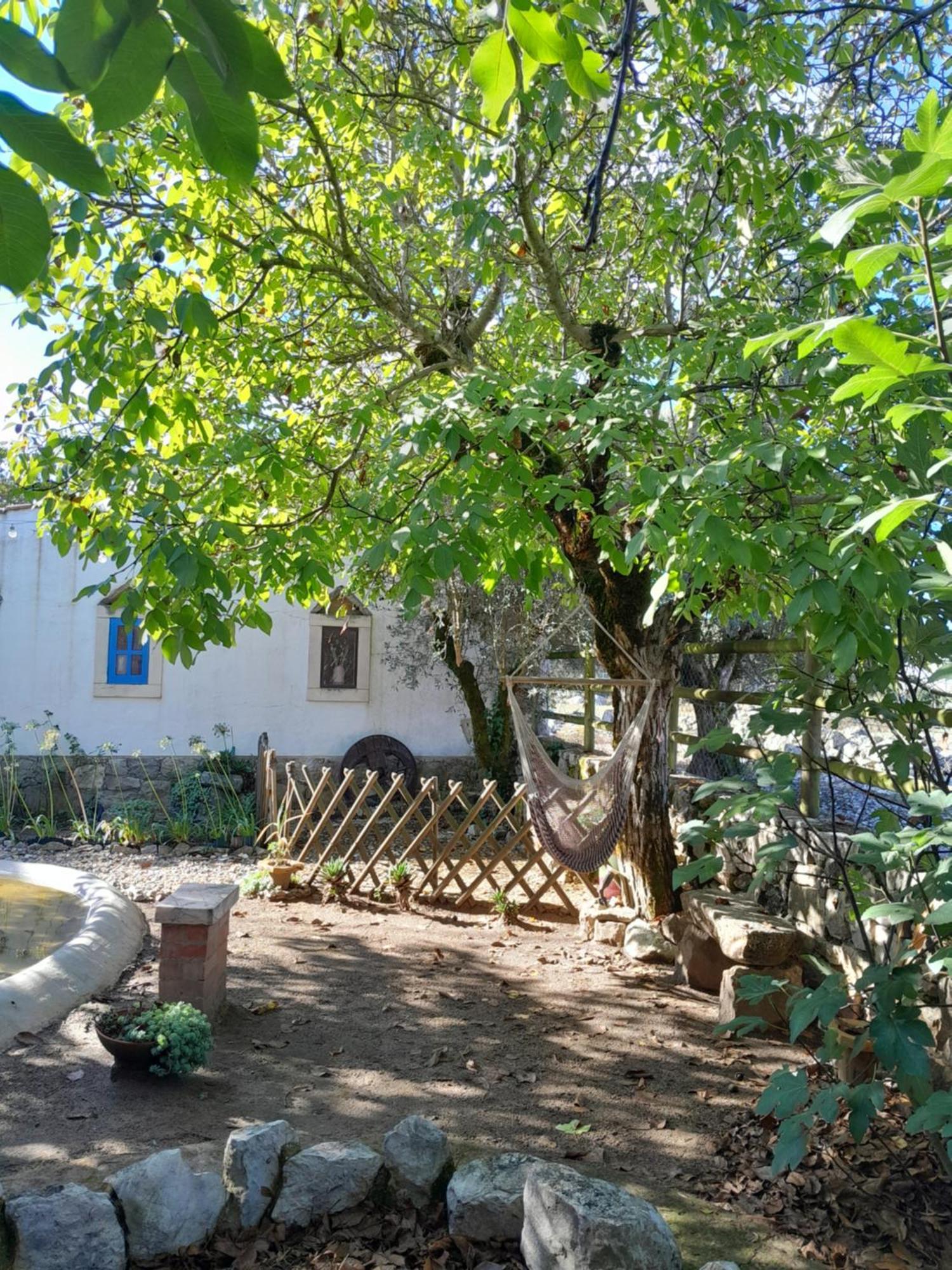 Refugio Das Artes Guesthouse Porto de Mós Extérieur photo